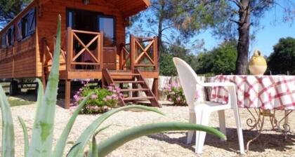 The Caravan of Florette