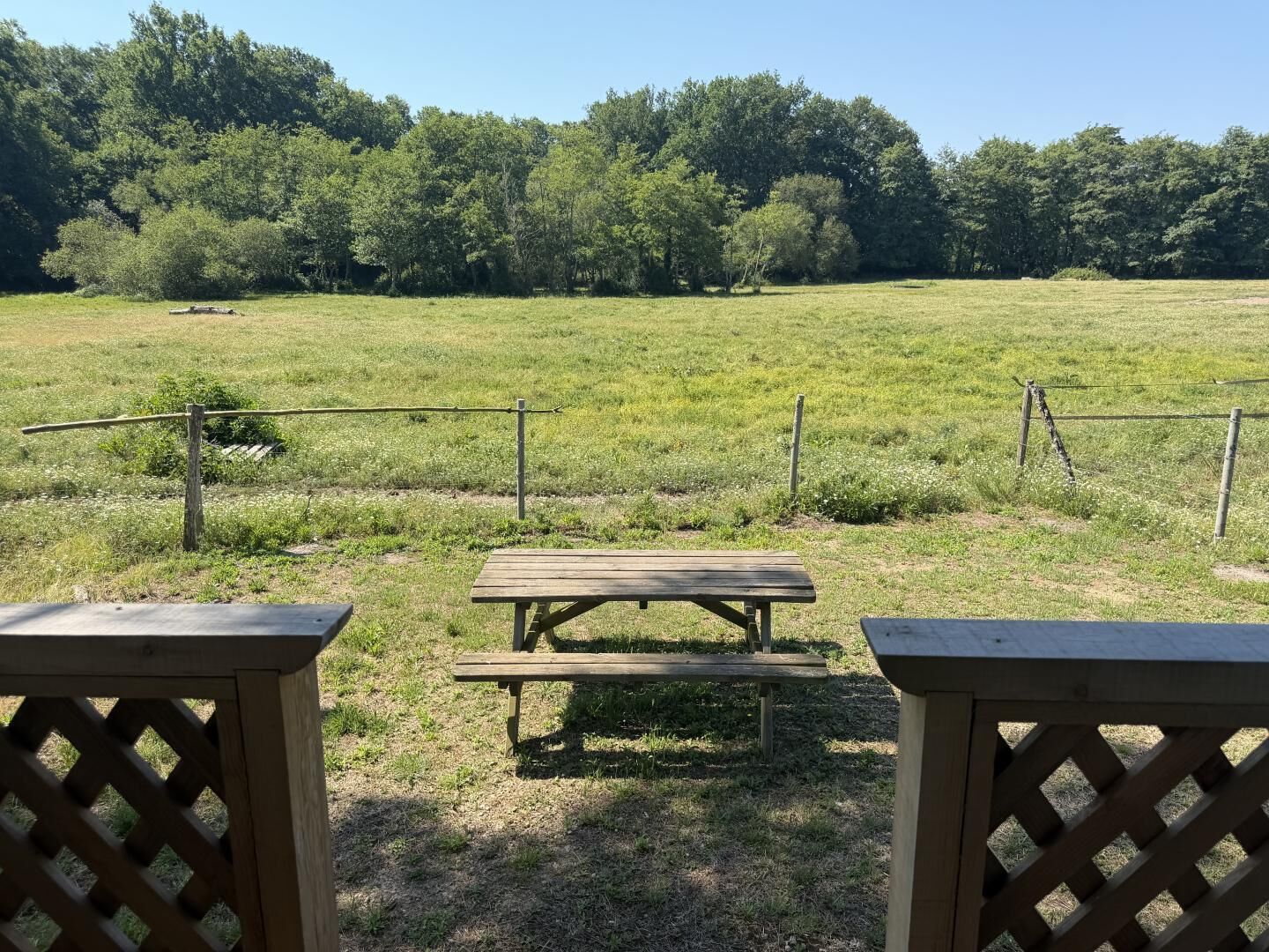 Un espacio de picnic con mesa y bancos de madera, rodeado por una valla y árboles.