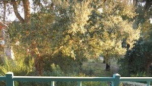 Ein Tisch für zwei, gedeckt mit einer Garnelensuppe und Weingläsern, umgeben von Stühlen auf einer Terrasse mit Blick auf Bäume.