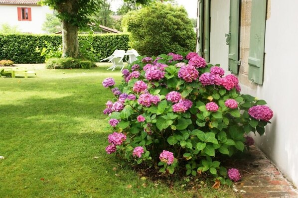 Property grounds - Maison Abélia - Pissos (PISSOS)