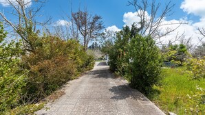 A paved pathway flanked by dense vegetation and trees, leading towards a distant building. - 3335 Podere Li Noci by Barbarhouse (Melendugno)