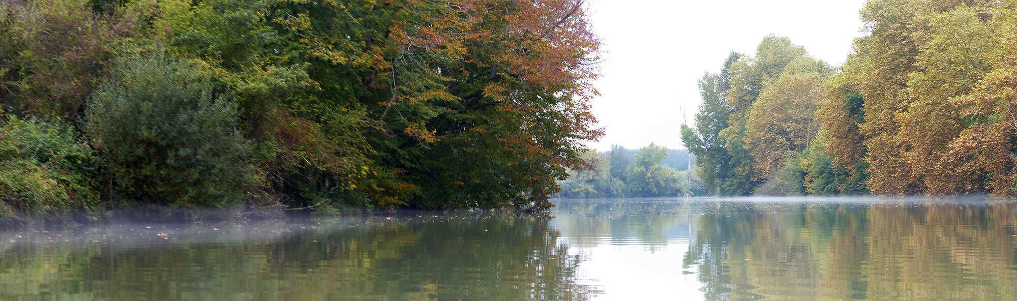 A calm river surrounded by dense trees with autumn foliage.