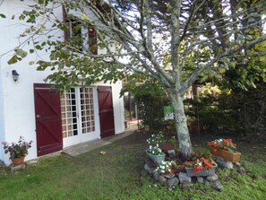 Detalle del exterior