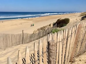 Beach - Villa Océan et Forêt (VIEUX BOUCAU LES BAINS)