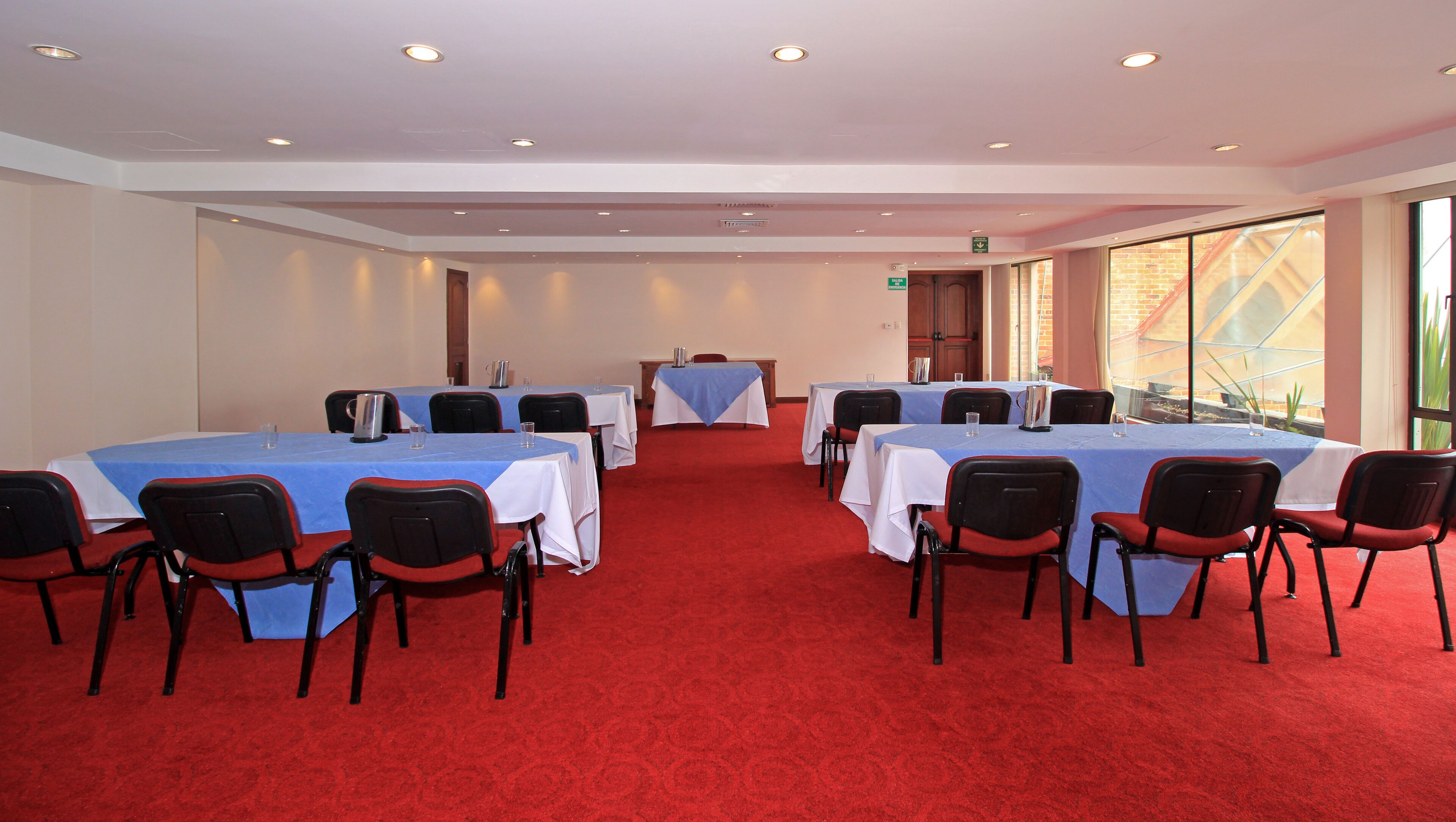 A conference room with tables and chairs, large windows, and a red carpet.