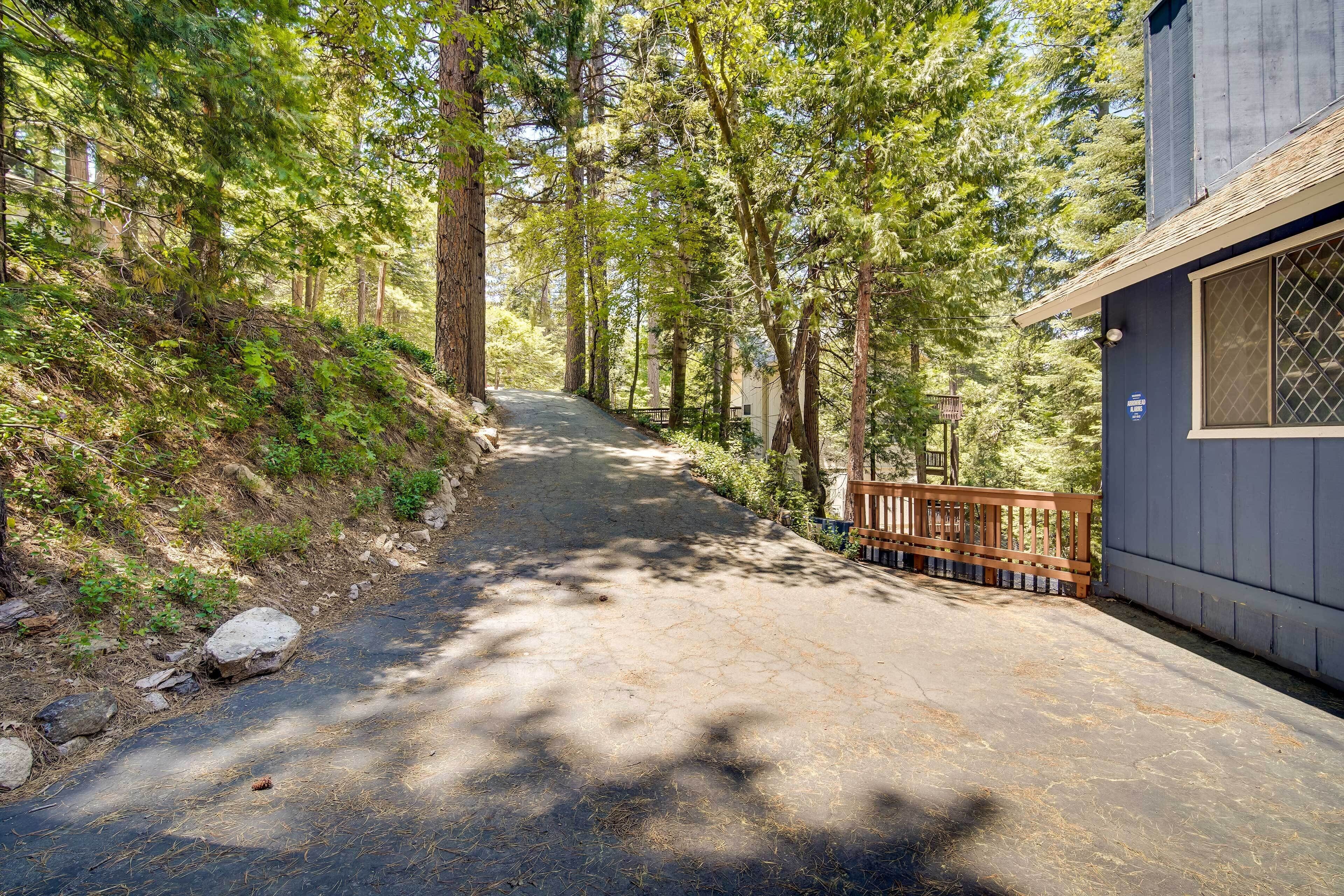 A forested path leading to a cabin with a wooden deck and a window.