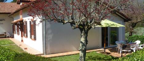 تناول الطعام بالخارج