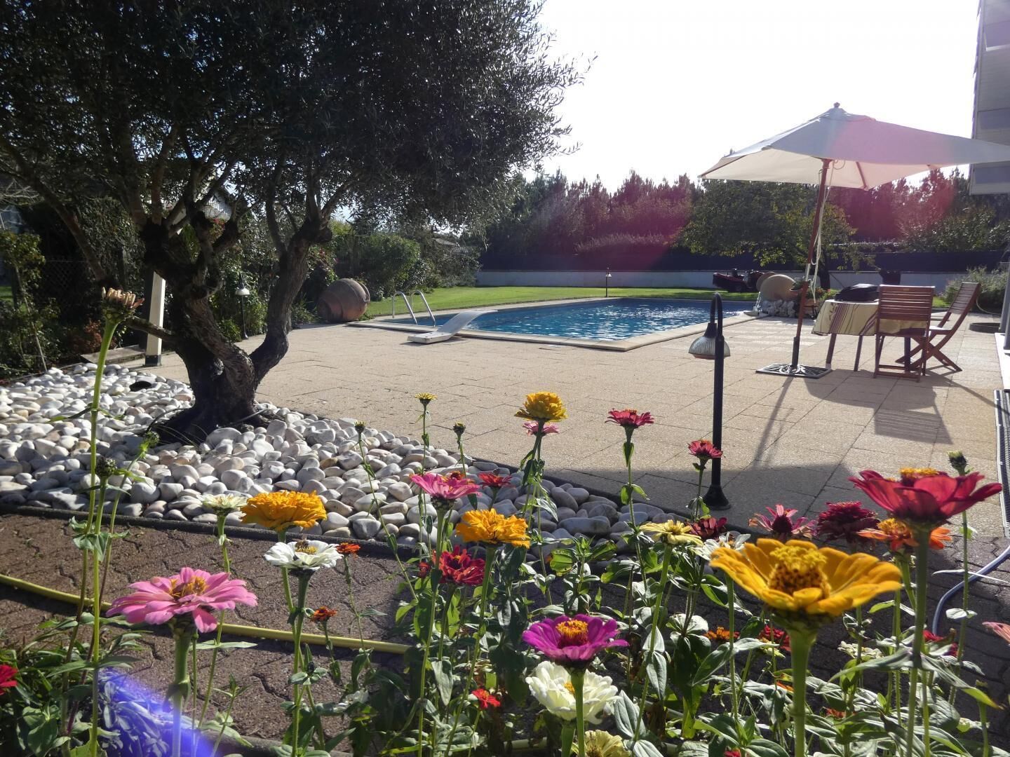 Ein Garten mit Swimmingpool, einem Baum und einer Terrasse mit Tisch und Stühlen.