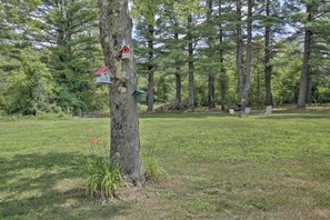 House (5 Bedrooms) | Interior - Ashley Falls Home w/ Fire Pit: Hike & Ski! (Ashley Falls)