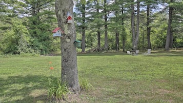 Casa (5 Bedrooms) | Interior