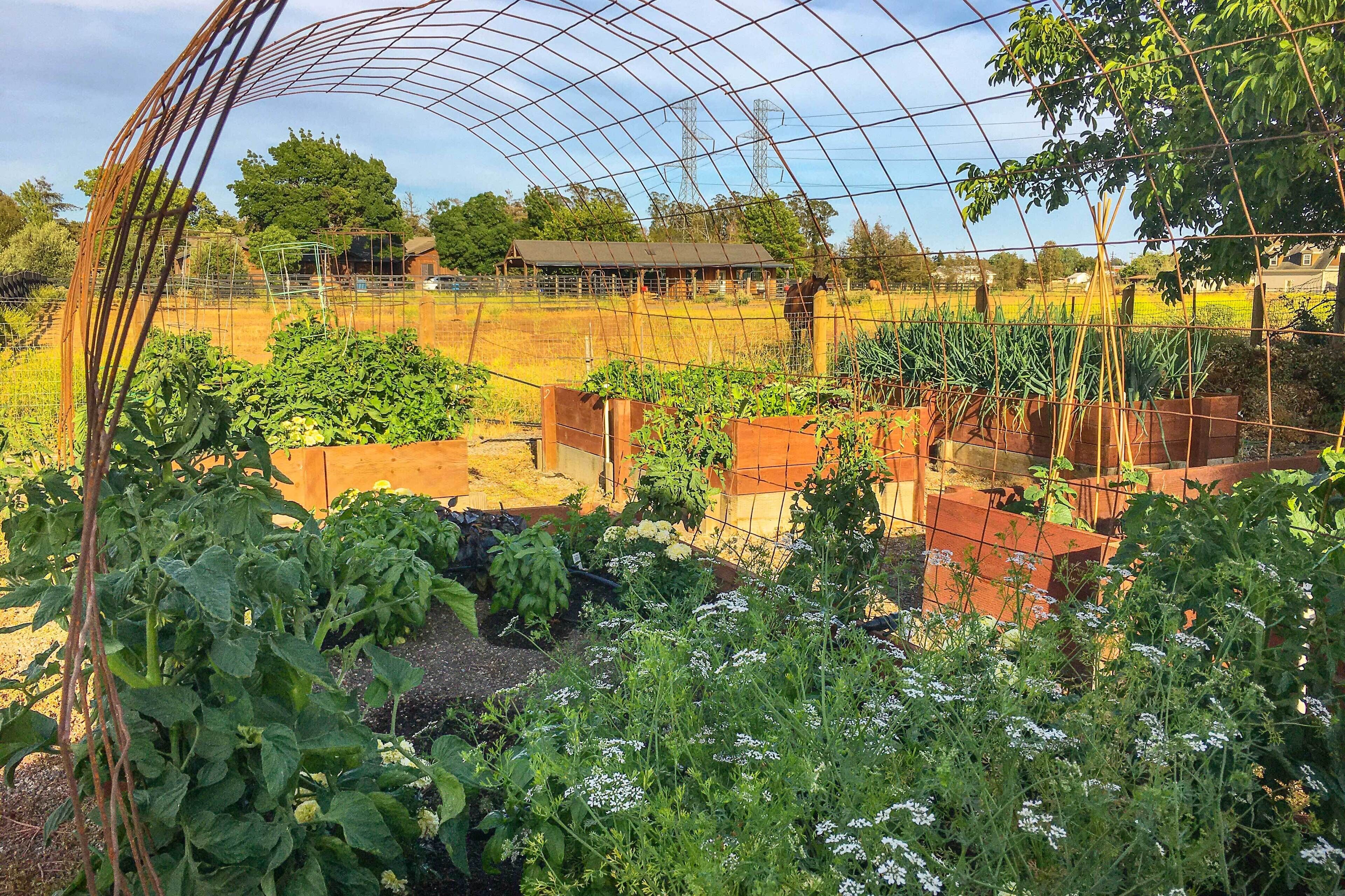 Ferienhaus (2 Bedrooms) | Innenbereich