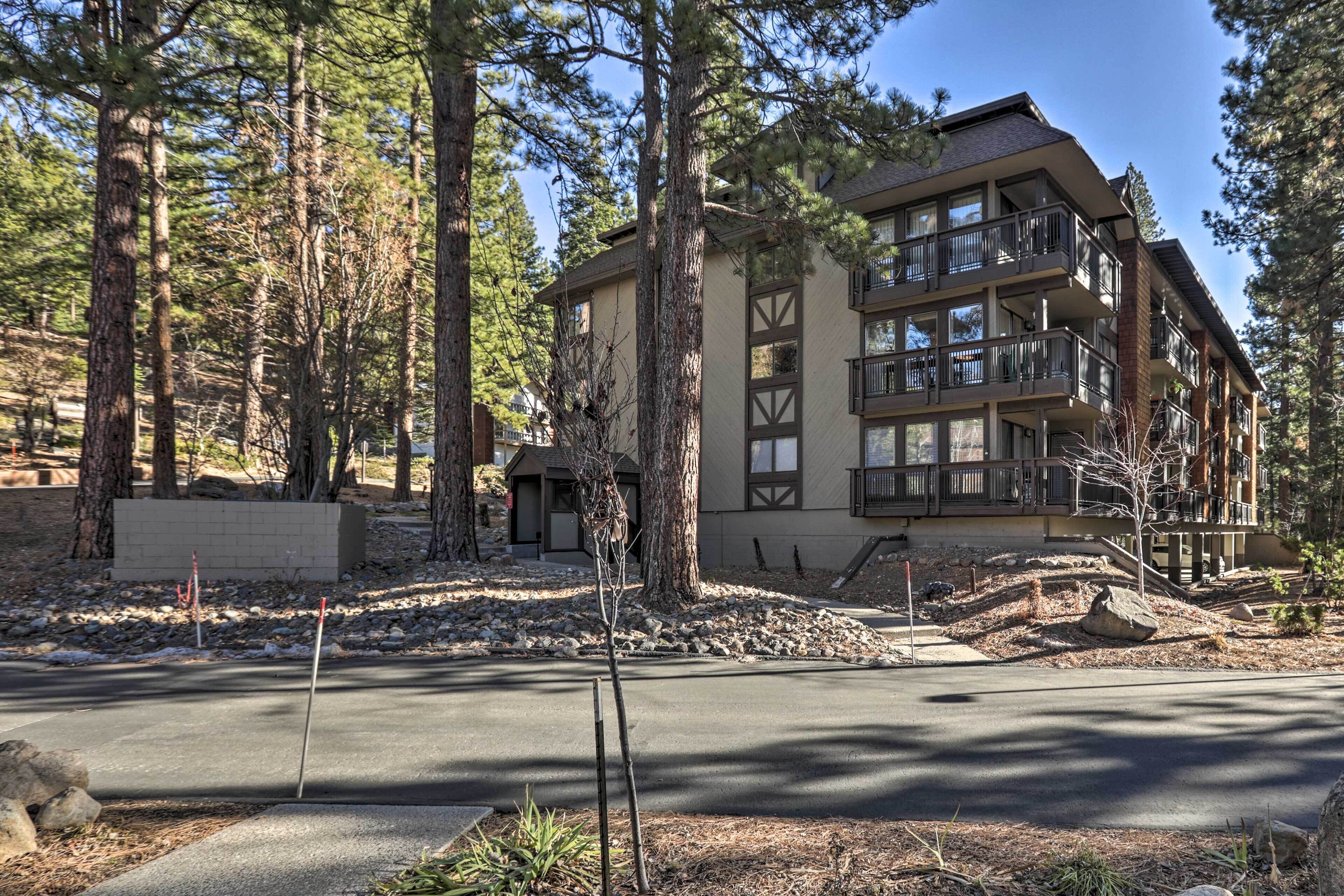A multi-story building with balconies, surrounded by tall trees and a paved driveway.