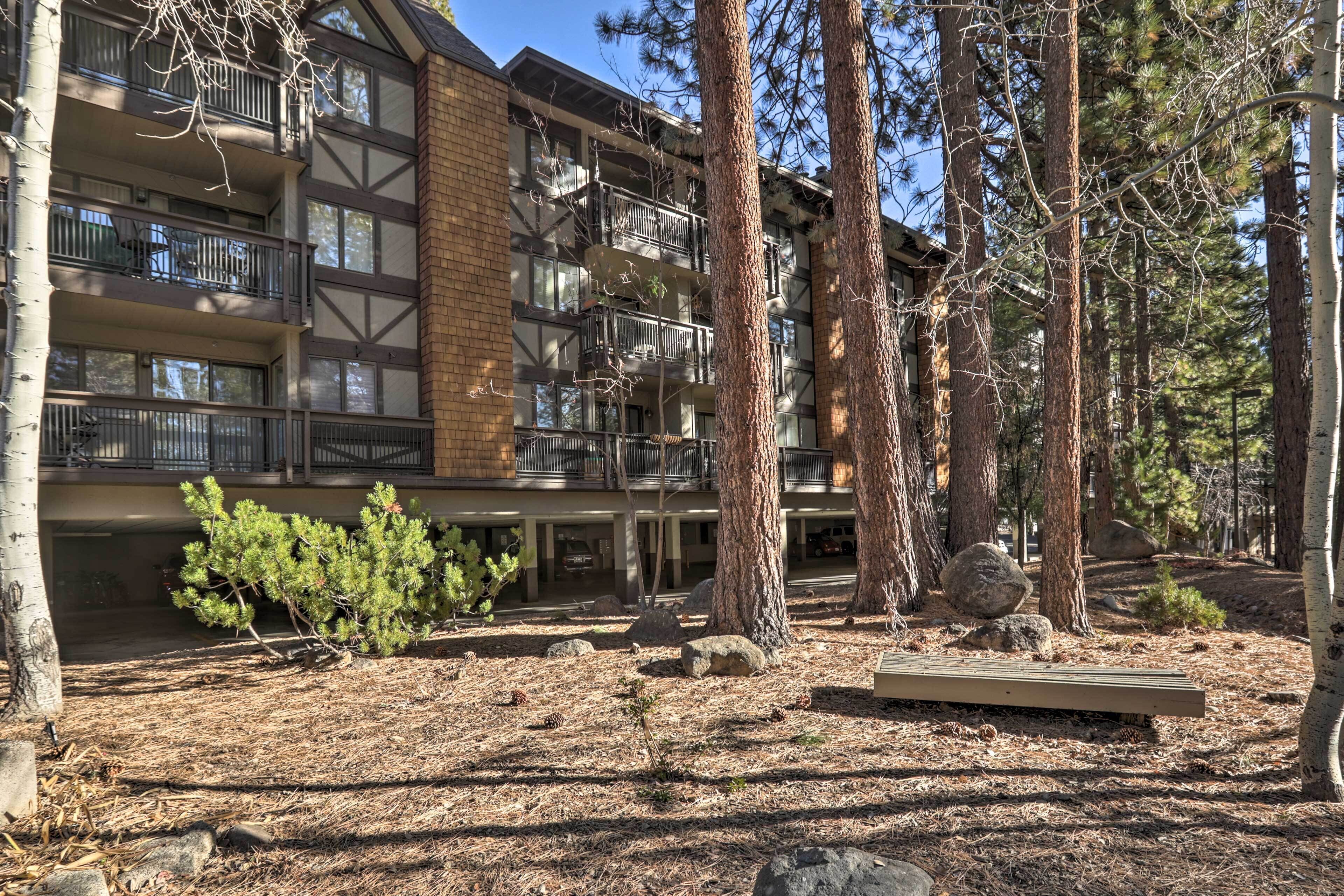 A multi-story building with balconies, surrounded by trees and a wooded area.