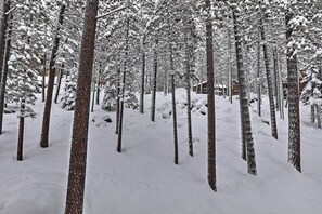 Property grounds - Lake Tahoe Mountain Condo < 2 Mi to Nevada Beach! (Zephyr Cove)