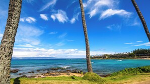 Une vue sur la côte, avec des palmiers, un ciel bleu clair et l’océan.