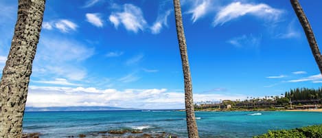 A coastal view with palm trees, clear blue sky, and ocean.