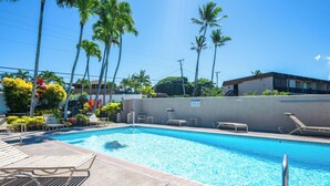 A swimming pool with lounge chairs and palm trees.