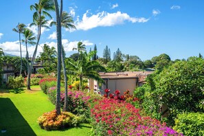 Apartment (1 Bedroom) | Interior - Walk to Napili Bay Beach! Mtn-view Lahaina Condo (Napili-Honokowai)