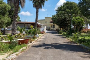 A quiet residential street lined with palm trees and houses.