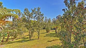 Apartment (0 Bedroom) | Interior