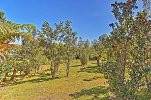 Apartment (0 Bedroom) | Interior