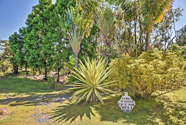 Leilighet (0 Bedroom) | Innvendig