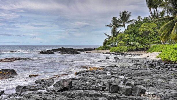 A rocky shoreline with waves, palm trees, and a beach.