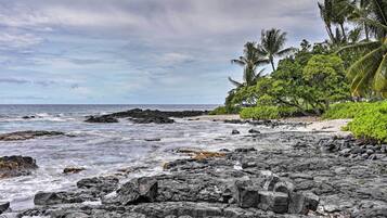 公寓 (1 Bedroom) | 住宿內部