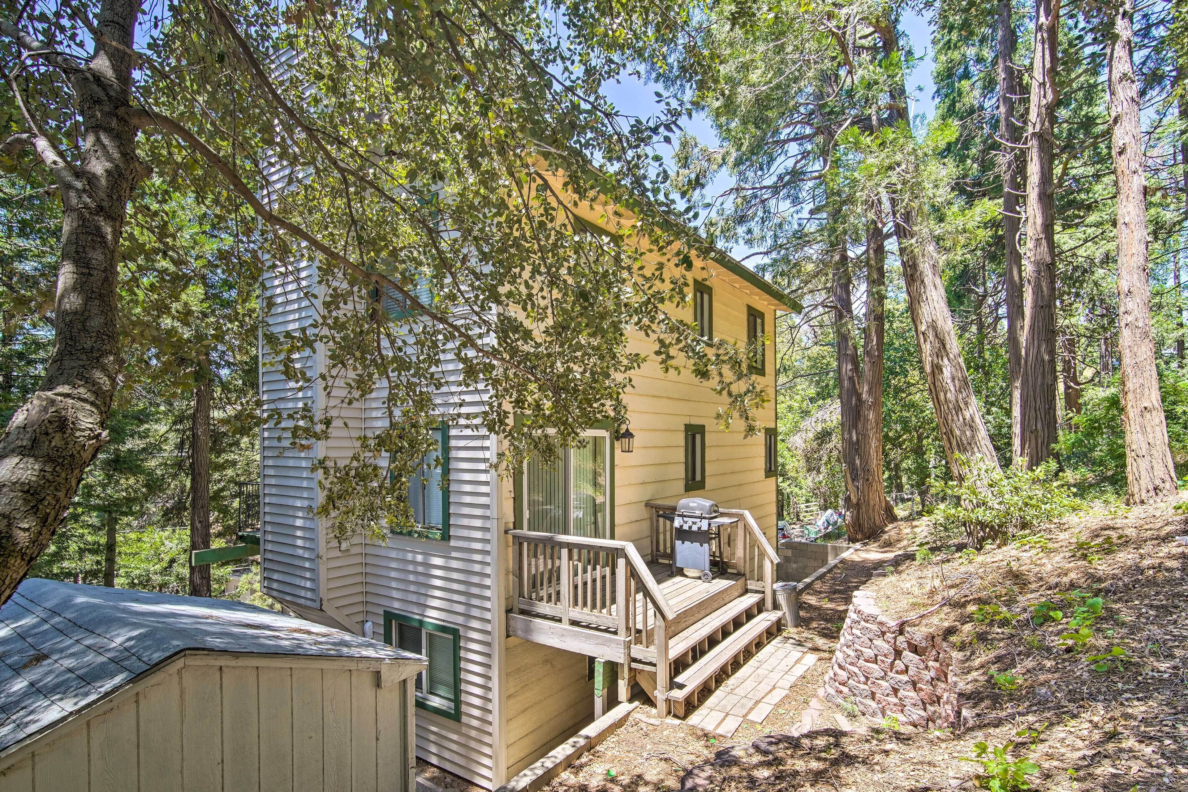 Apartamento (1 Bedroom) | Interior