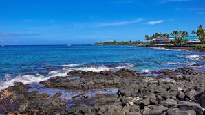 A coastal scene with rocky shoreline, clear blue water, and a building with a blue roof and palm trees in the background.