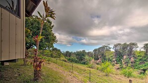 A grassy area with a small plant and a wooden structure. - Hilo Couples Retreat ~ 6 Miles to Honoli'i Beach! (Hilo)