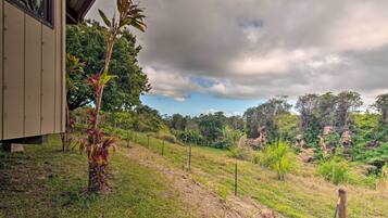 Apartment (0 Bedroom) | Interior