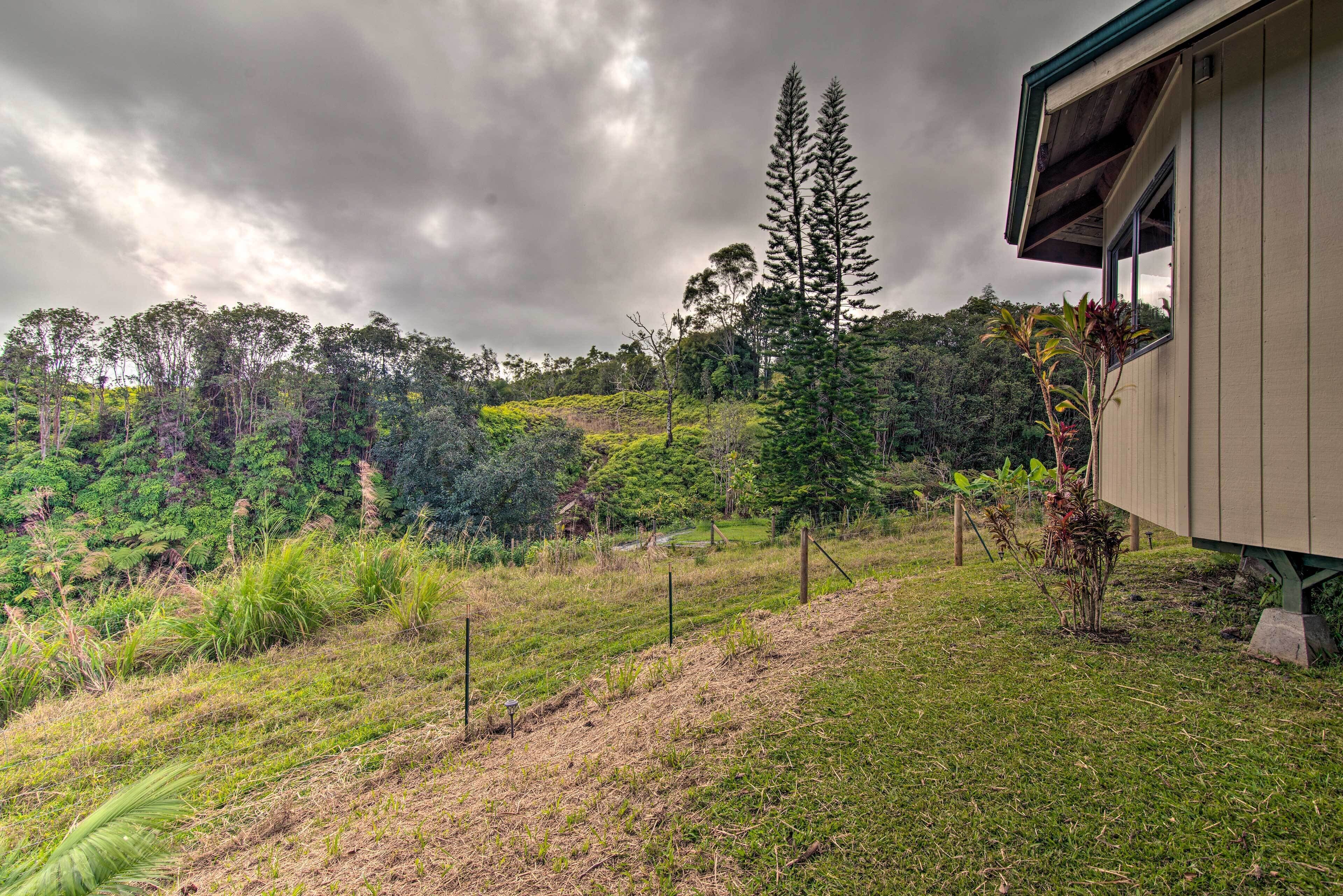 Apartment (0 Bedroom) | Interior