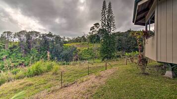 Apartment (0 Bedroom) | Interior