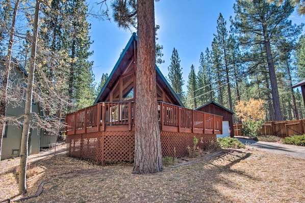 A cabin with a wooden deck, surrounded by tall pine trees.