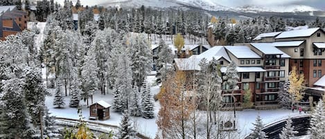 Apartment (1 Bedroom) | Interior