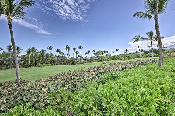 Apartment (2 Bedrooms) | Interior - Kailua-kona Condo w/ Pool & Ocean Views (Kailua-Kona)