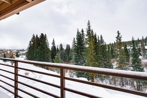 Apartment (2 Bedrooms) | Interior - 11 Mi to Keystone Resort: Condo in Silverthorne (Silverthorne)