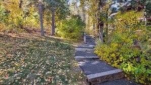 A pathway leading through a forested area with trees and a wooden bench. - 11 Mi to Palisades Tahoe: Lakefront Home w/ View! (Tahoe City)