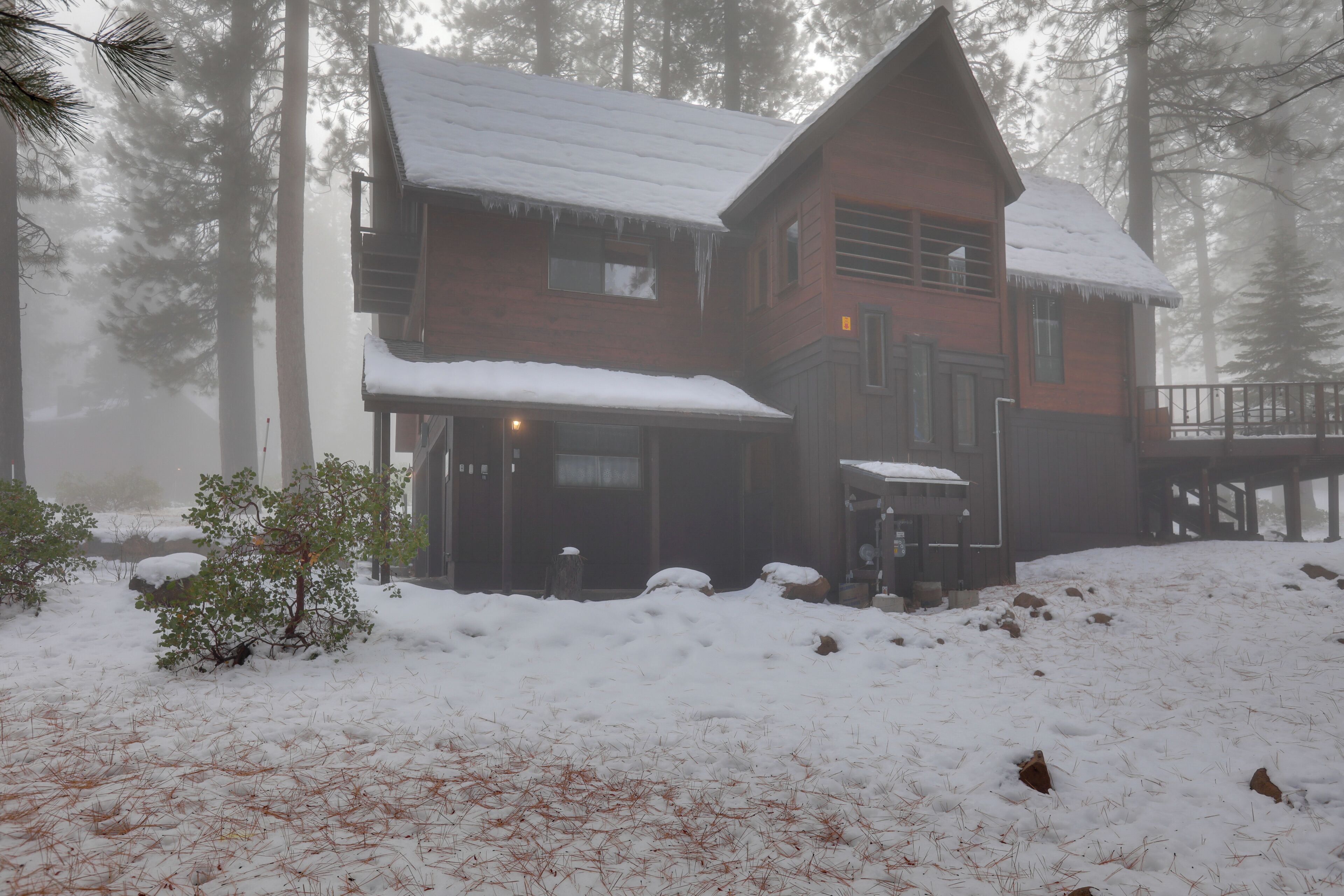 Eine Blockhütte mit schneebedecktem Dach, umgeben von hohen Kiefern.