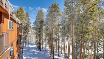 Appartamento (2 Bedrooms) | Interni