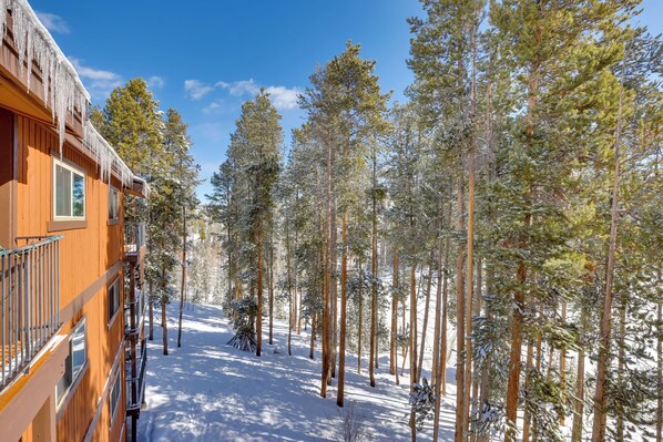 アパートメント (2 Bedrooms) | 内装