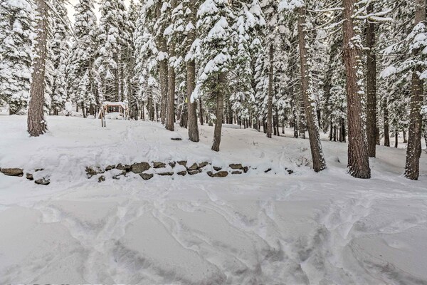 Tahoe Donner Mountain Cabin: Surrounded By Forest! - Lago Tahoe