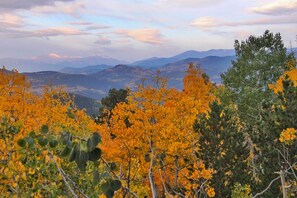 Huis (2 Bedrooms) | Interieur