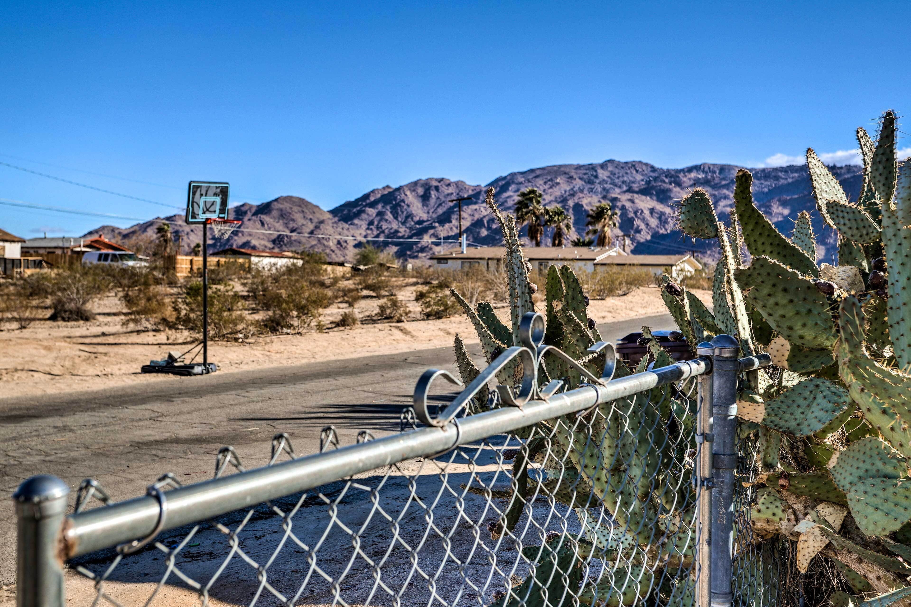 A chain-link fence with a metal gate, a cactus, and a mountainous landscape in the background.