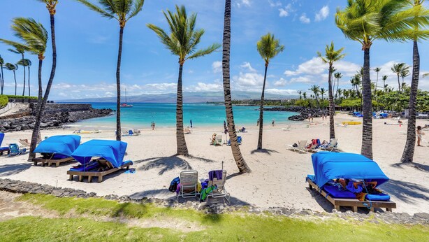 A beach with palm trees, lounge chairs, and a clear view of the ocean. - Luxe Maunalani Resort Condo w/ Pool + Beach Access (Kamuela)