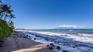 Uma praia com pegadas, pedras e palmeiras sob um céu claro.