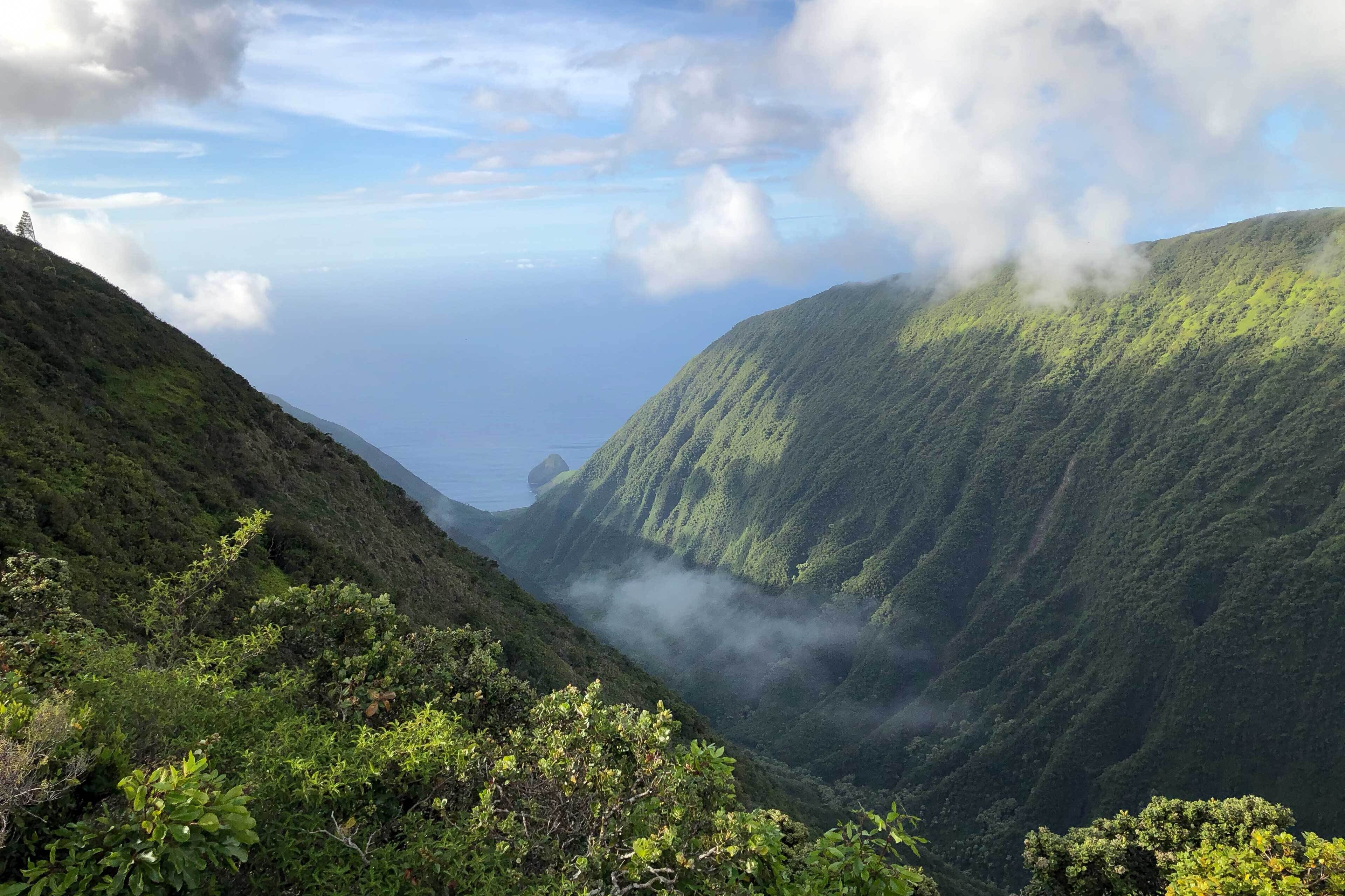 Un paisaje montañoso con exuberante vegetación y un valle.