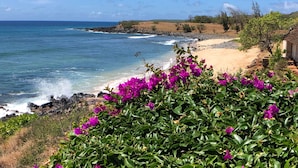 A coastal landscape with a beach, rocky shoreline, and vegetation. - High-end Resort Condo Nestled on Molokai Shoreline (Kaunakakai)