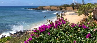 High-end Resort Condo Nestled on Molokai Shoreline
